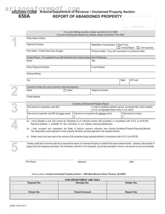 Fill Out Your Arizona 650A Form